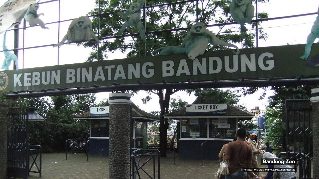 Zen Rooms Bukit Tunggul Bandung Exteriör bild